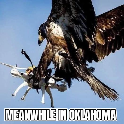you have been meanwhiled okie.jpg